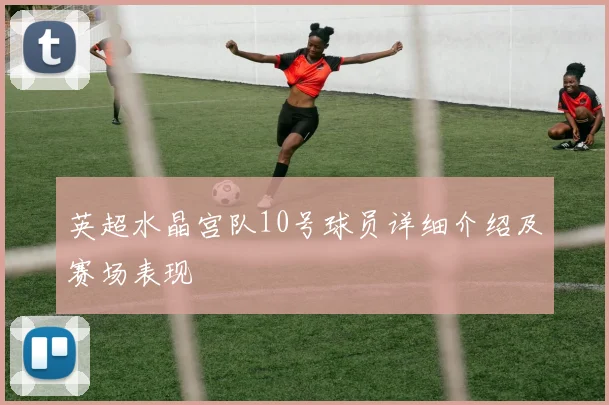 英超水晶宫队10号球员详细介绍及赛场表现